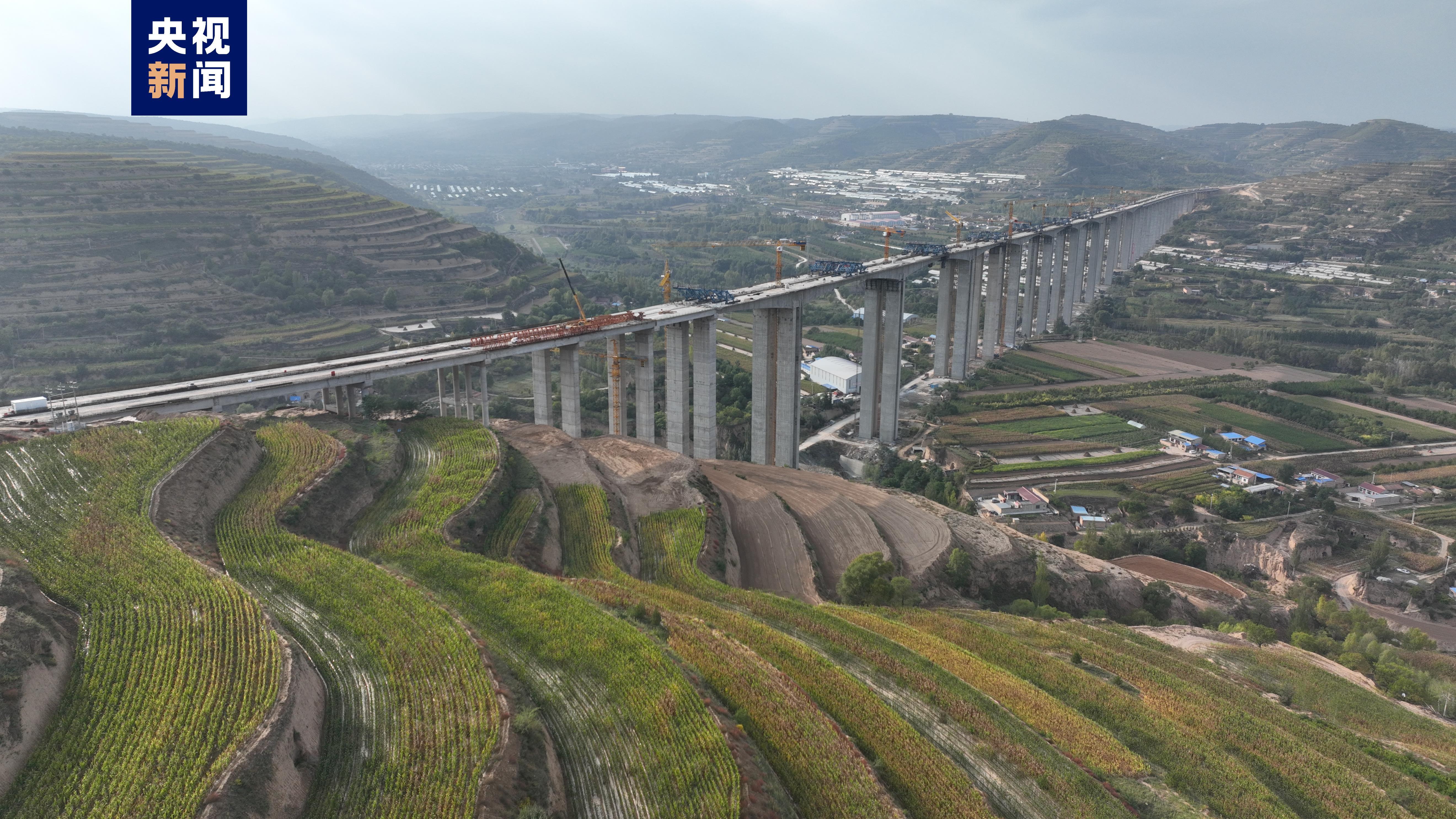 小马丽怎么登号